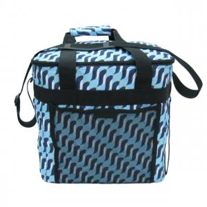 soft side insulated collapse cooler bag 20L